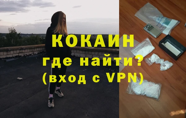 стафф Алексин