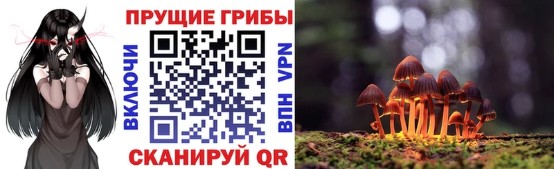 Галлюциногенные грибы GOLDEN TEACHER  Межгорье 